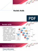 MC 2 Lesson VIa - Nucleic Acids