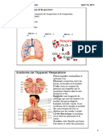 Anatomie de L'appareil Respiratoire