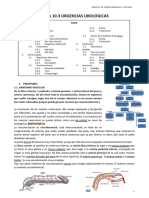 Tema 10.3 Urgencias Urológicas