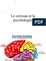 Le Cerveau Et La Psychologie