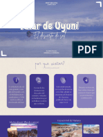 Salar de Uyuni Espanhol PDF