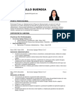 Curriculum Vitae Documentado