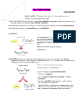 10.3. Enzymes (1)