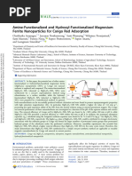 Amine-Functionalized and Hydroxyl-Functionalized Magnesium