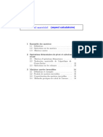 Calcul Matriciel (Aspect Calculatoire) : Chapitre 11