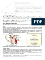 Reproduction in Human Beings - Explanation Notes