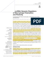 SELF-FORDHAM ET AL 2017 Artigo Científico Oncologia Imunoterapia