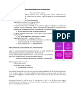 Bases Morfofisiológicas Del Sistema Nervioso