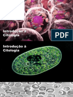 Introdução À Citologia - Organização Celular