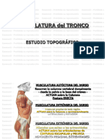 Nociones Basicas Anatomia Interes Estetico Ok Apuntes 2