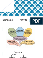 3 Protista - Protozoa