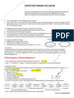 Activité Électrique Du Cœur