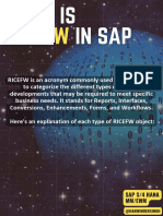 What Is Ricefw in Sap 1717162428