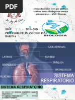 Sistema Respiratorio