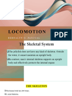 Locomotion