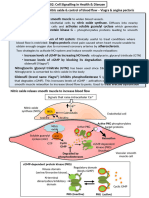 Lecture 7 NOTES Case Study Angina Pectoris & Viagra - Tagged