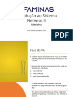 Introdução Ao Sistema Nervoso II e PA II 2024 1