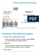 Chapter 7 Nervous Sytem