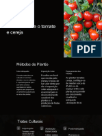 Trabalho Do Tomate