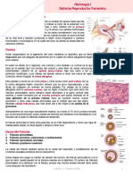 Clase 23 - Histología I, Sistema Reproductor Femenino