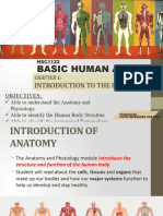 c1 Introduction To The Human Body New