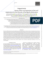 Comparative Anatomy of The Vocal Apparatus in Bats