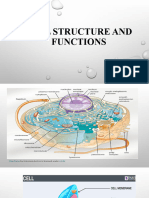 Cell Structure and Function