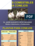 Plantas Comestibles para Conejos