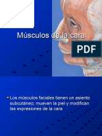 Musculos de La Cara