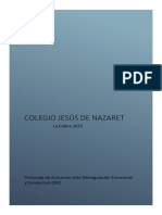 Protocolo Desregulacion Emocional 2023