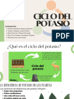 Ciclo Del Potasio