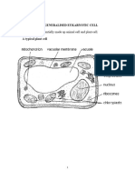 The Generalised Eukaryotic Cell