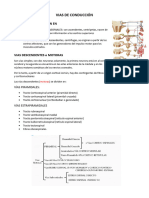 Vias de Conducción Anato