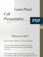 Animal and Plant Cell