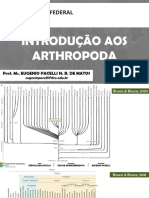 Aula 04 - Introdução Aos Arthropoda