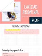 1 Cavidad Abdominal