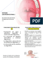 Clase No. 18 Sistema Gastrointestinal I (2023)