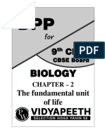 The Fundamental Unit of Life - DPPs