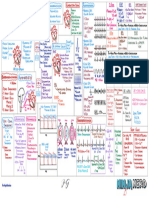 Arrhythmias Types, Pathophysiology, Diagnosis, Treatment