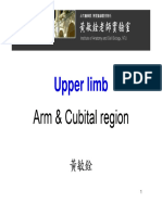 Upper Limb-Arm & Cubital Region Superficial Back & Scapular Region-20081014