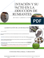 Alimentación y Su Impacto en La Reproducción de Rumiantes