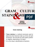 Gram Staining