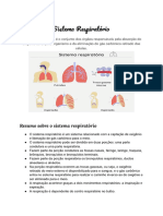 Cópia de Cópia de Documento Sem Título PDF