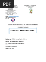 Rapport Stage Communautaire I Mel