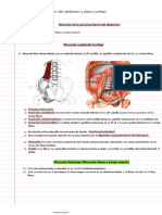 Clase 24 - Pared Posterior Del Abdomen y Plexo Lumbar