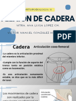 Flexion de Cadera