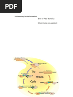 Plate Tectonics and Sedimentation (For PE)