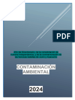 Contaminacion - Ambiental II Unidad