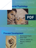 Developmental Psychology Power Point