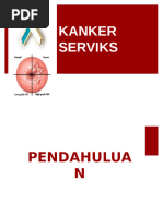 Kanker Serviks (HPV) 2